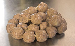 haggis mini