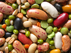 beans pulses