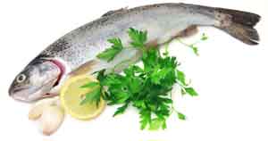 fish