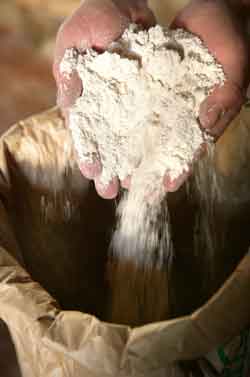 flour