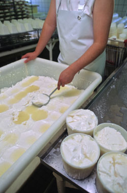 fromage du chevre