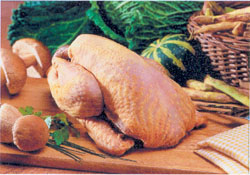 guinea Fowl