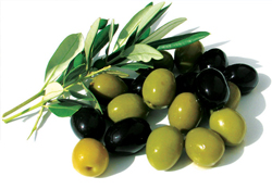 fresh olives