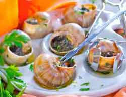 snails