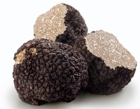 fresh truffles