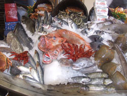 fish display